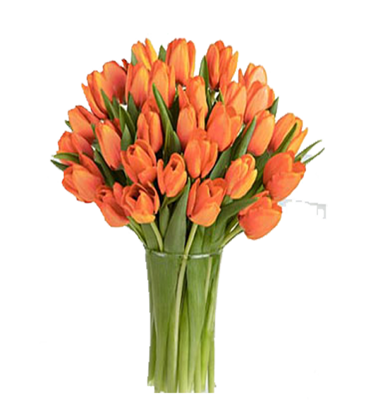 Florero de 50 Tulipanes Primaverales